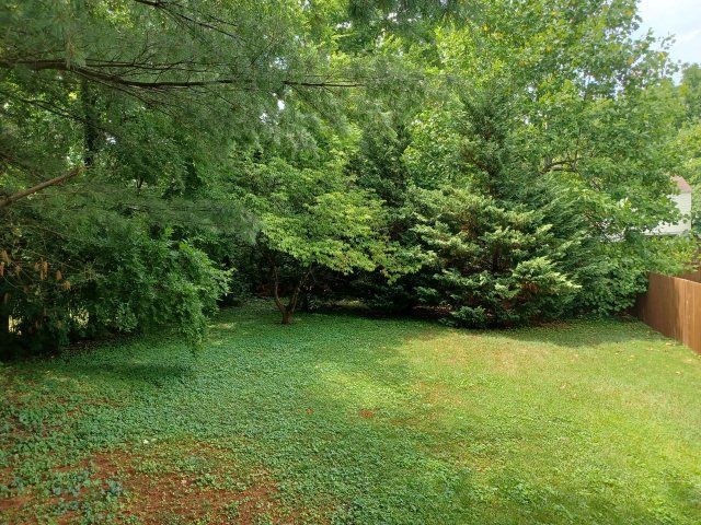 Cute East Nashville House!  Fenced Back Yard.  Washer & Dryer. property image