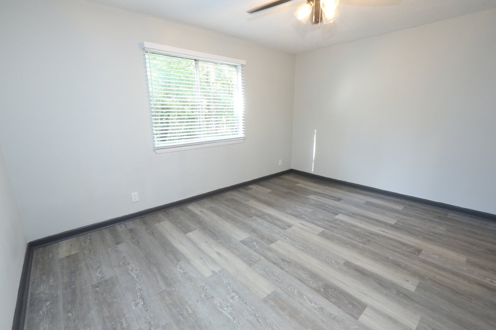 1/2 OFF 1ST FULL MONTHS RENT! Fully Renovated 2 Bed, 1 Bath, 1st Floor Apartment in East Ridge! property image